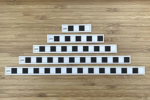 black white photography scales