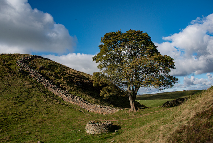 Sycamore Gap, Hadrian's Wall, Northumberland, England, UK