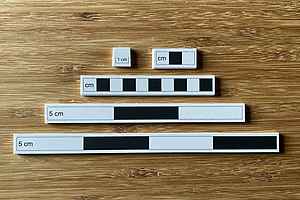 black white photography scales